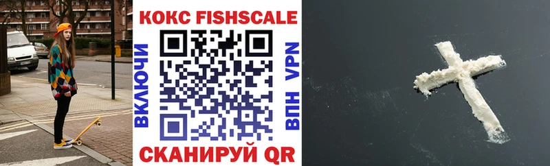Купить закладки  Каргат  Кокаин Fish Scale 