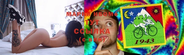 индика Бугульма