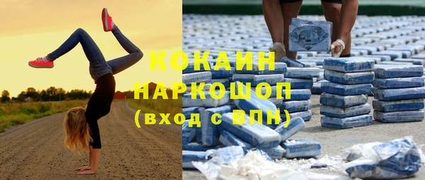 индика Бугульма