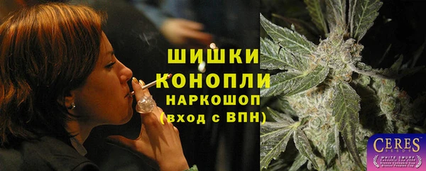 индика Бугульма