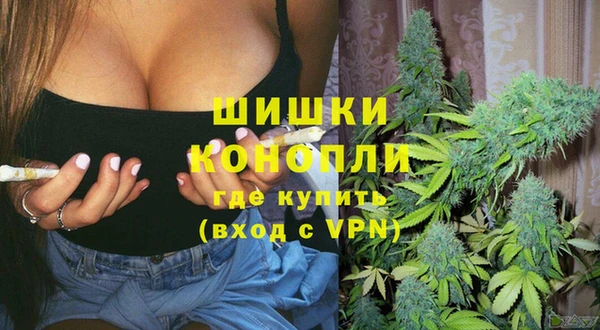 индика Бугульма