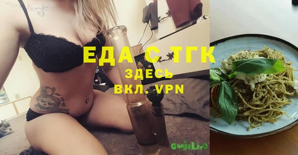 индика Бугульма